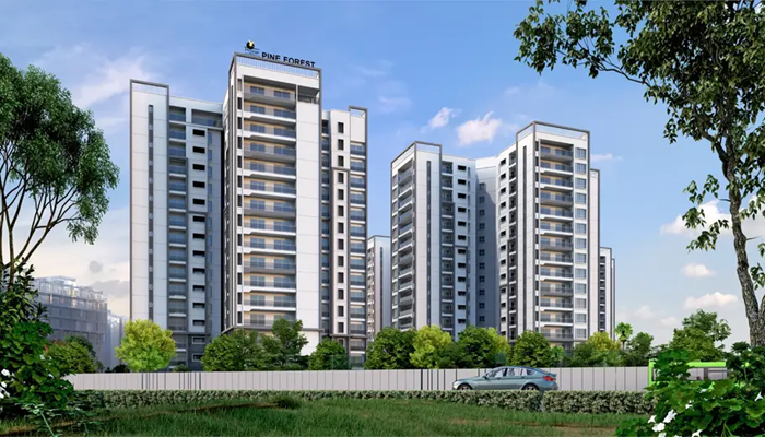 Prestige Pine Forest