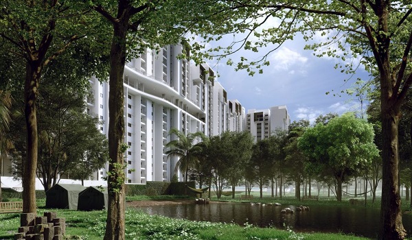 Prestige Pine Forest Price