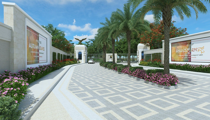 Prestige Autumn Leaves